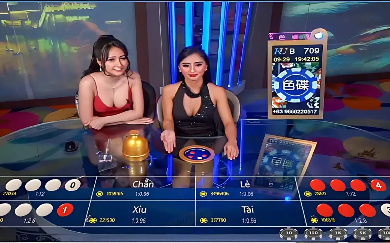 Dealer trực tiếp
